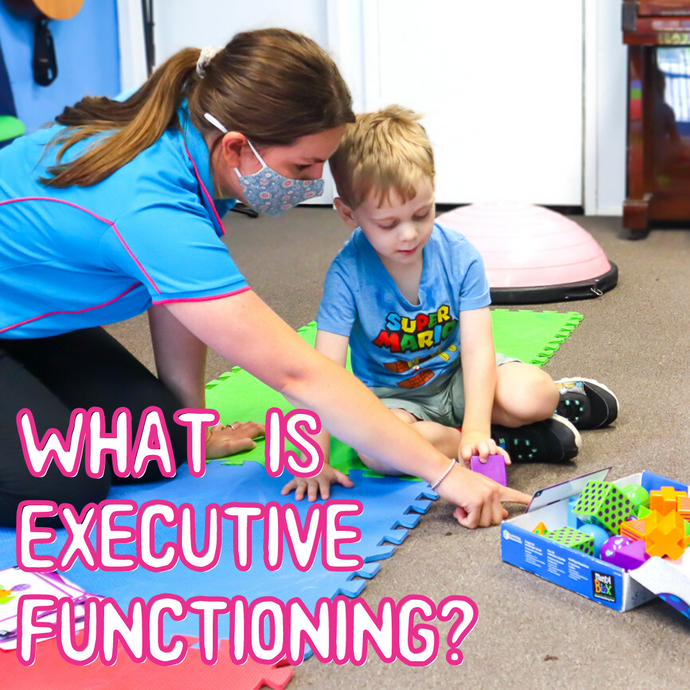 What is executive functioning?