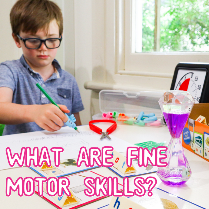 What are fine motor skills?